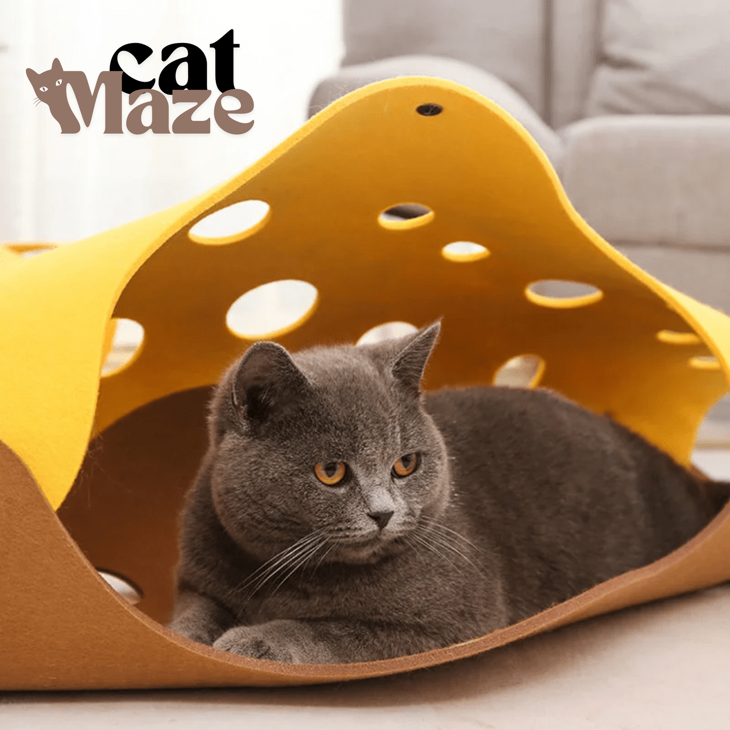 CatMaze