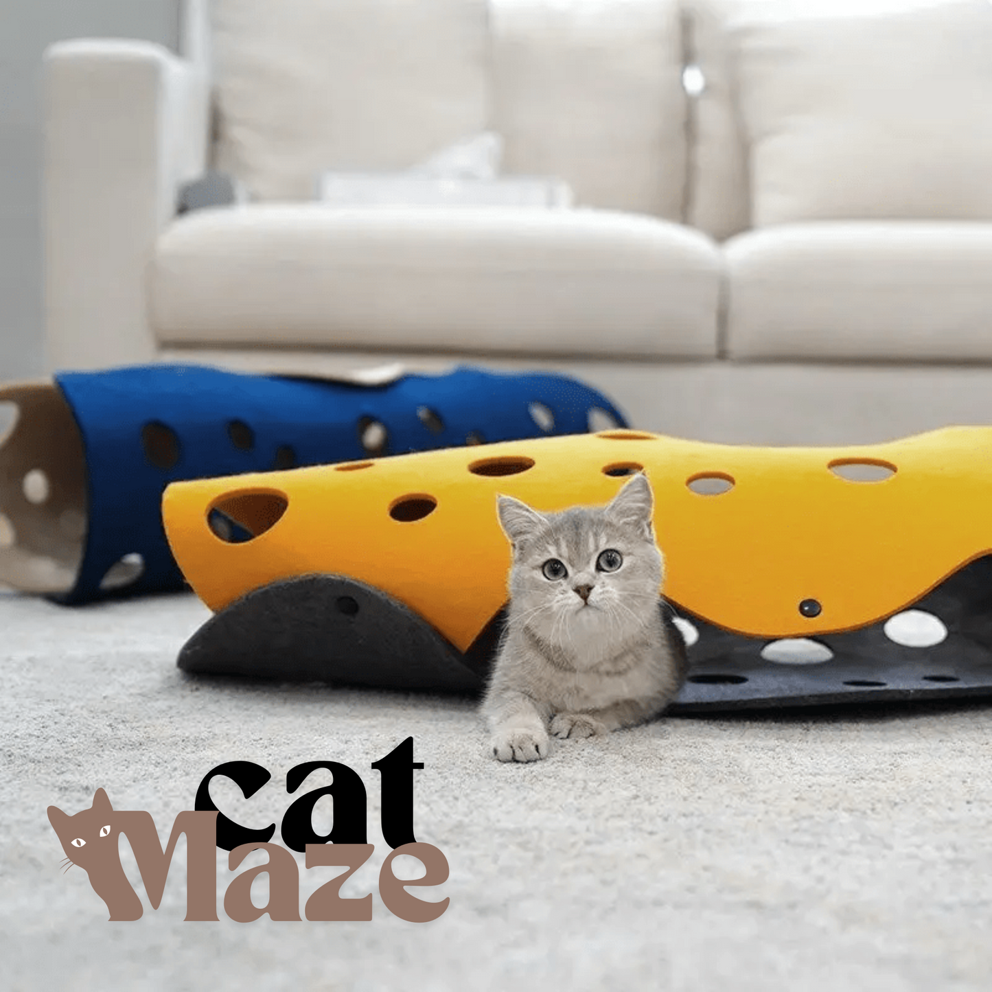 CatMaze