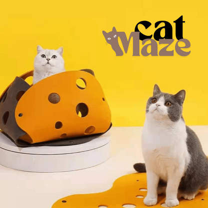 CatMaze